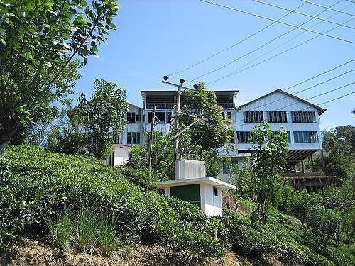 Halpewatte Tea Factory