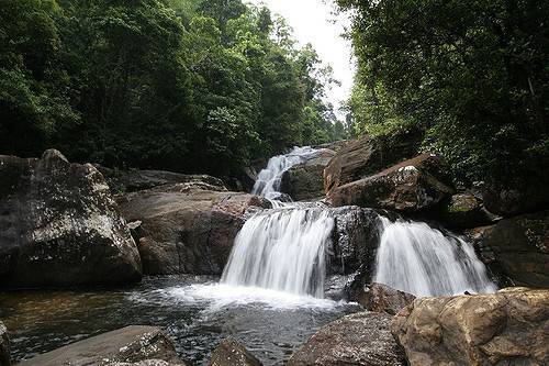 Kanneliya Forest Reserve