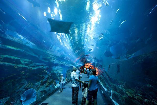 Dubai Aquarium and Underwater Zoo