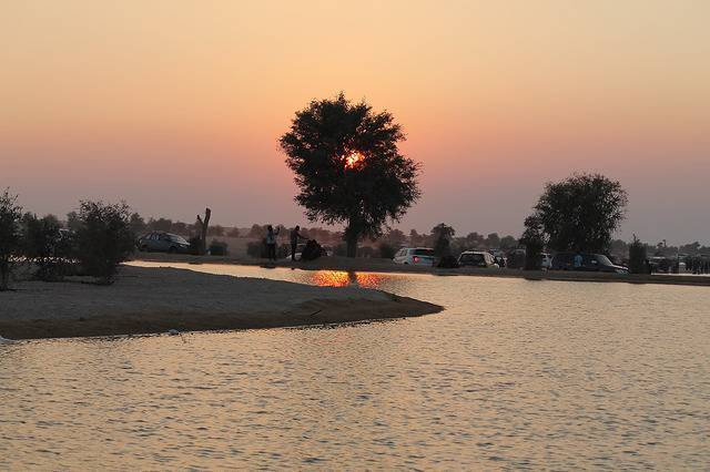 Al Qudra Lake