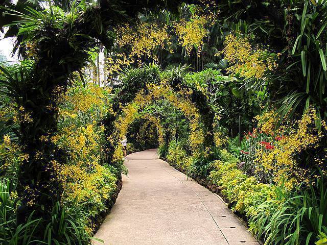 National Orchid Garden