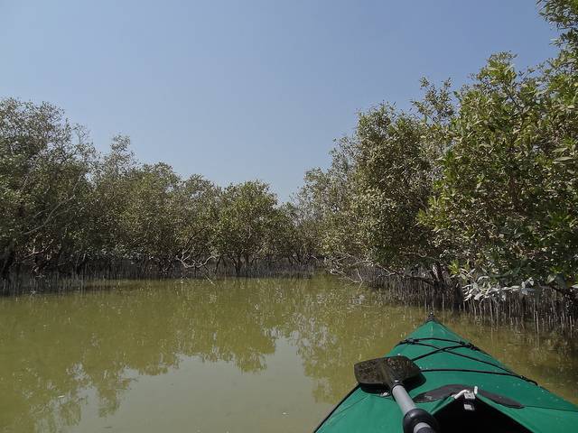 Mangrove National Park