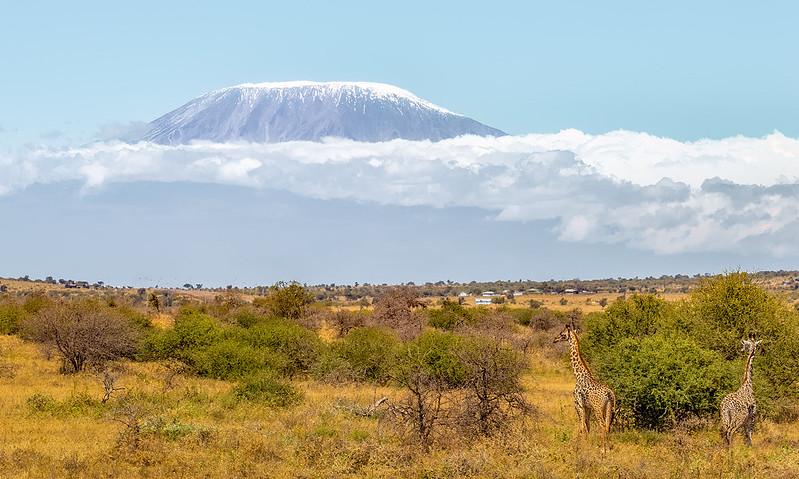 Amboseli National Park