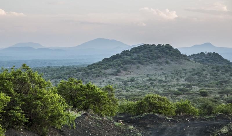 Tsavo West National Park