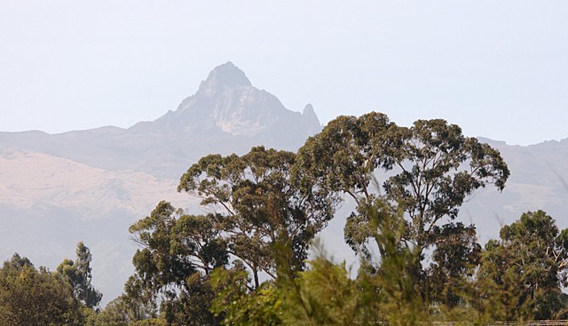 Mount Kenya National Park