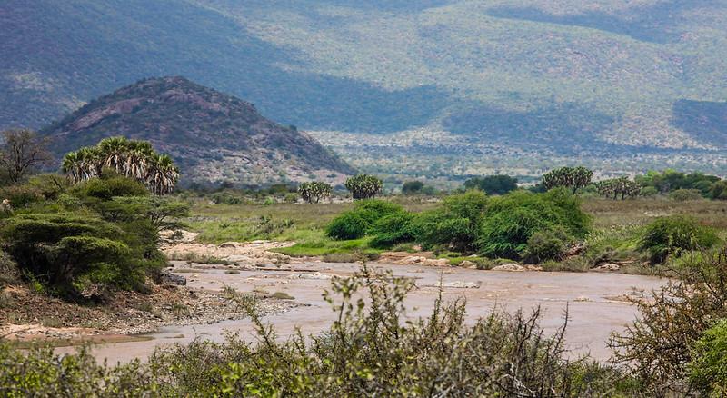 Shaba National Reserve