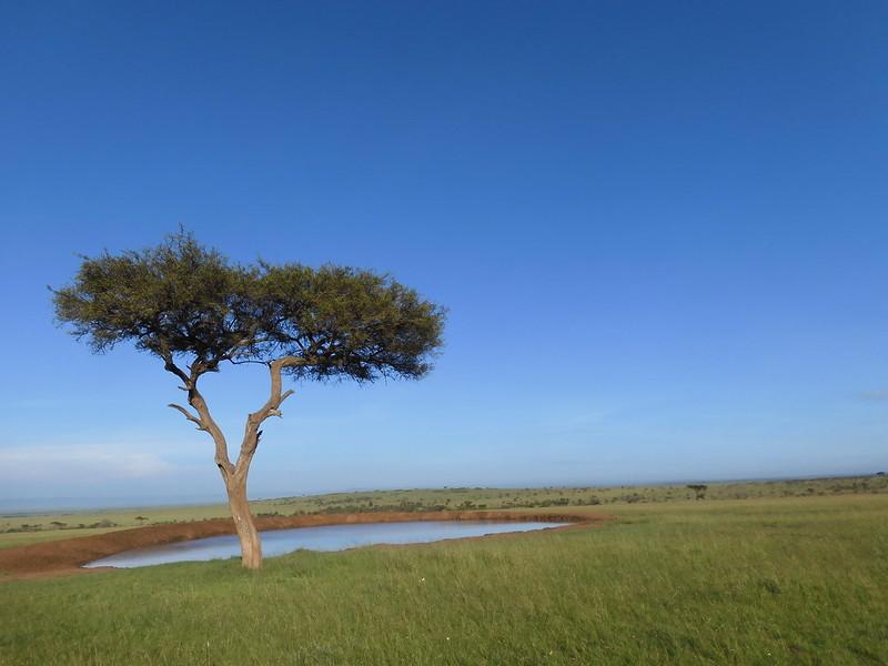 Olare Motorogi Conservancy