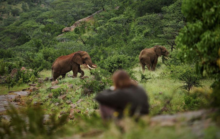 Ol Lentille Conservancy