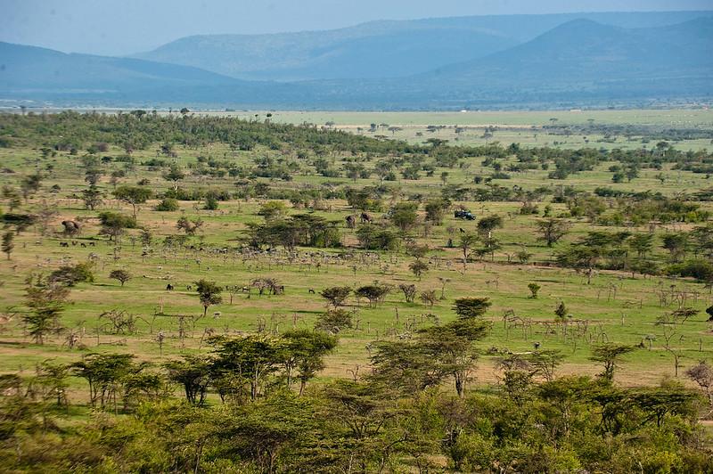 Mara Naboisho Conservancy