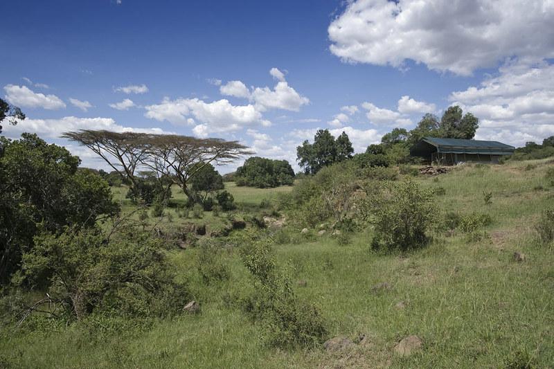 Mara North Conservancy