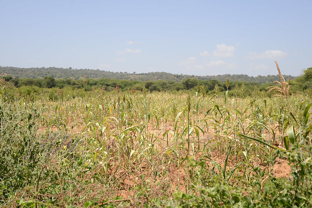 Mwingi National Reserve