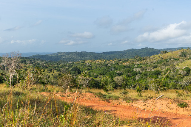 Shimba Hills National Reserve