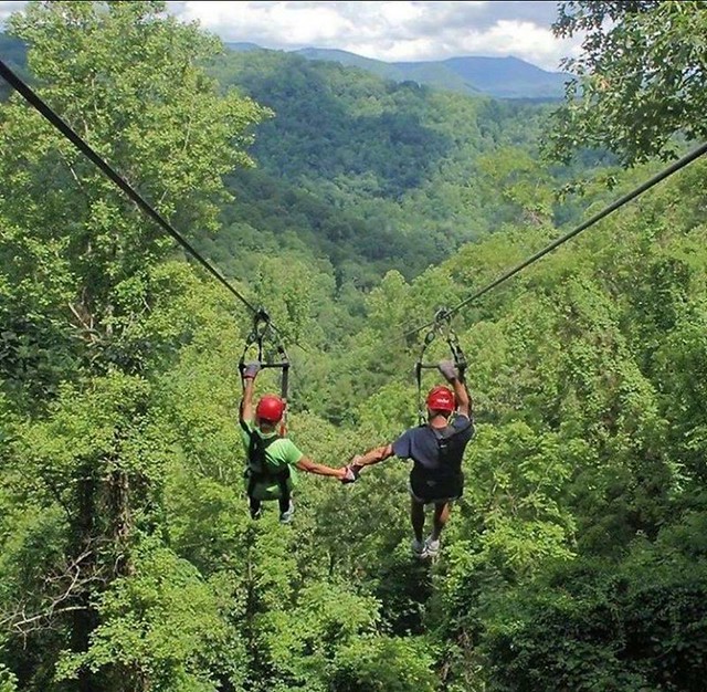 The Forest Adventure Centre