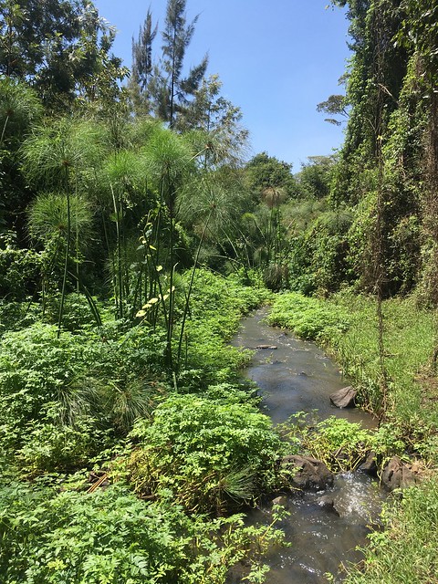 The Oloolua Nature Trail