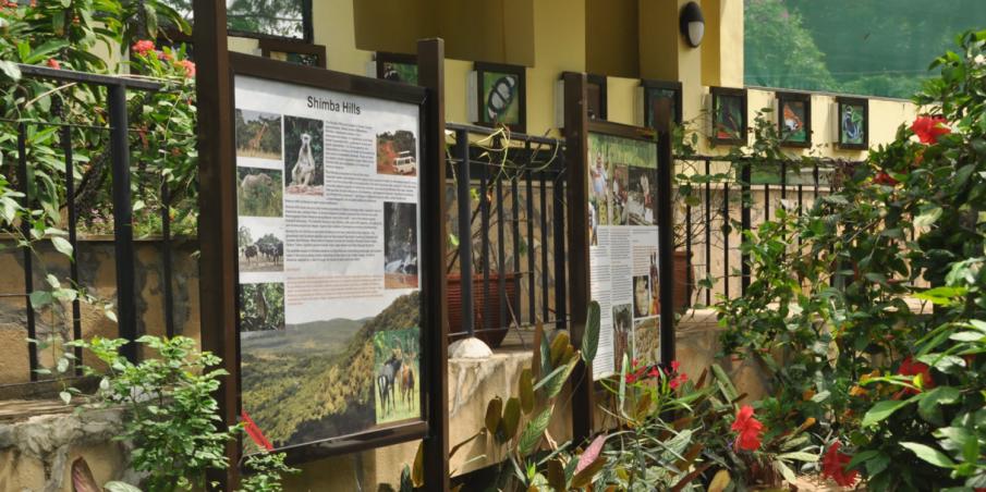 Mombasa Butterfly House