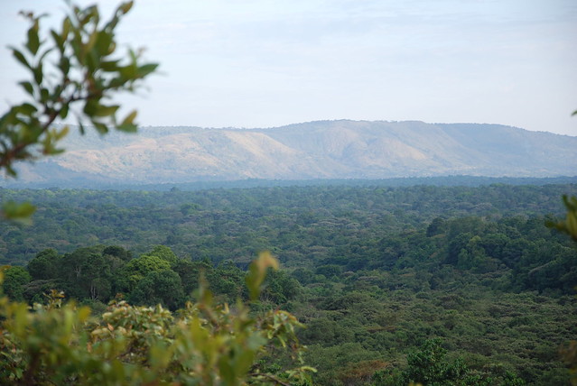 Kakamega Forest National Reserve