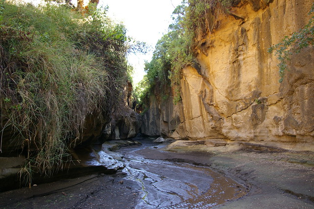 Hell’s Gate Gorge