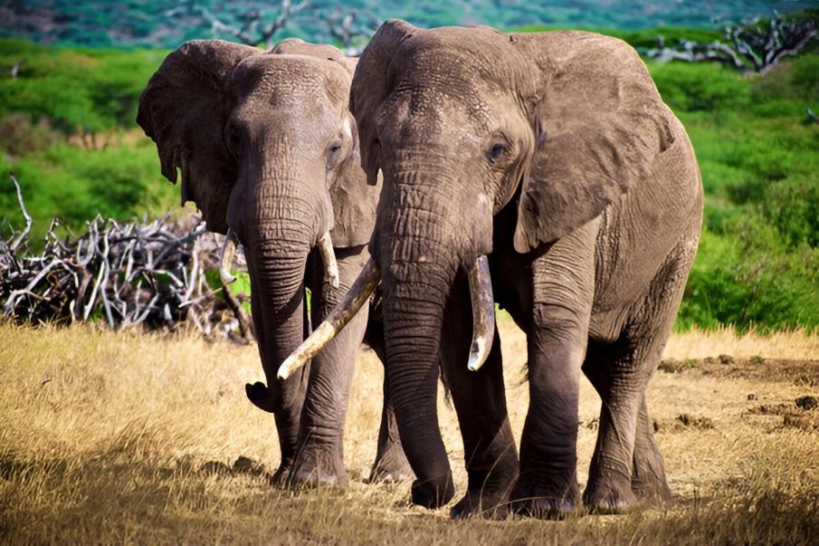 Ol Donyo Sabuk National Park