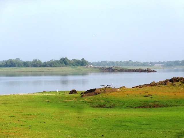 Maduru Oya National Park