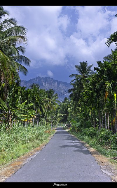 Kolli Hills