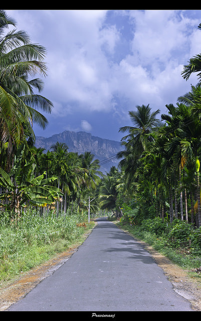 Kolli Hills