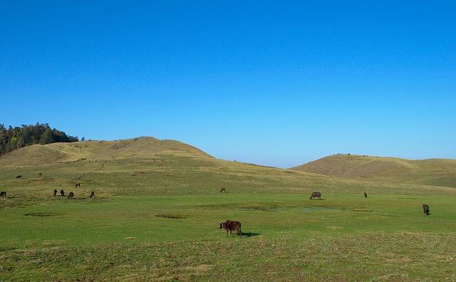 Khaptad National Park