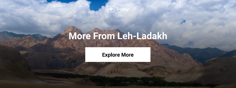 Trodly-Leh-Ladakh-All Tours