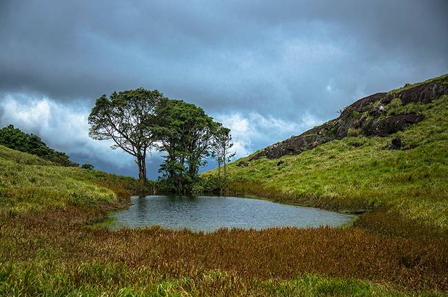 Hill Stations of South India: Wayanad