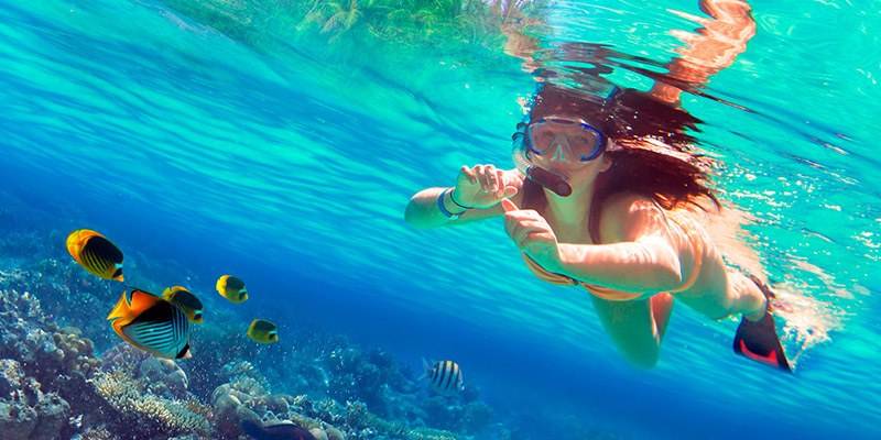 Andaman's Best Water Sports - Snorkeling