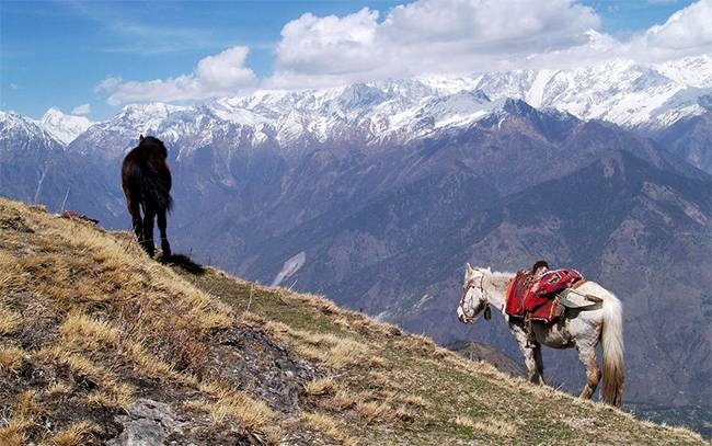 Best Treks in India: Milam Glacier Trek