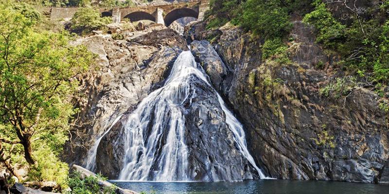 Excursions from Goa - Dudhsagar Waterfalls