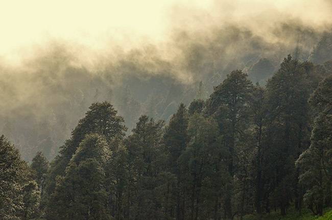 Tirthan Valley Himachal