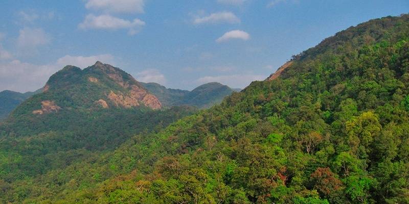 Places in India to Get Off-the-Grid - silent valley national park kerala