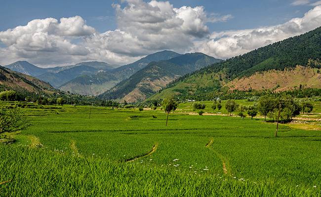 Offbeat Places to Visit in Jammu and Kashmir: Lolab valley