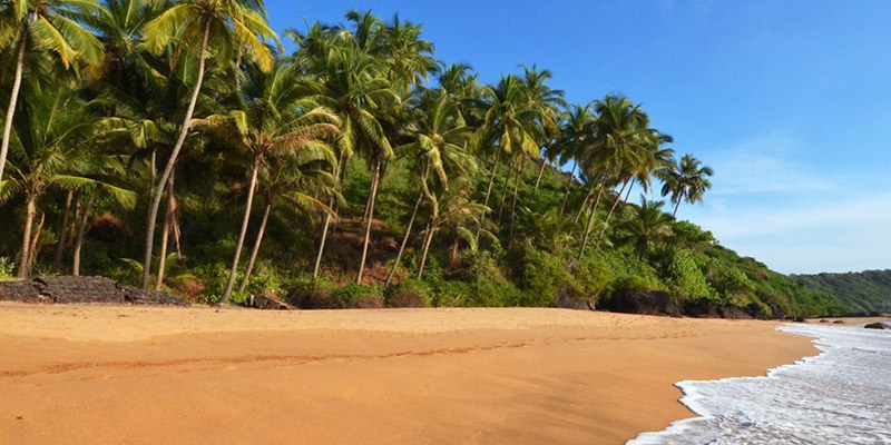 Offbeat Things to Do In South Goa - Butterfly Beach Goa