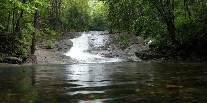 Offbeat Things to Do In South Goa - Tambdi Surla Waterfall