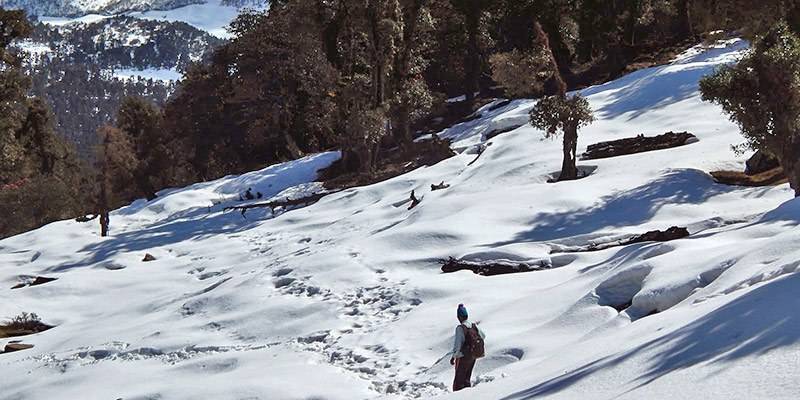 Winter Treks in India - Bedni Bugyal Winter Trek